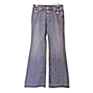 Vintage The Limited Premium Denim Sexy Cassidy Flare Jeans  Woman's Size 6 NWT